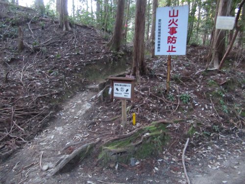 登山道